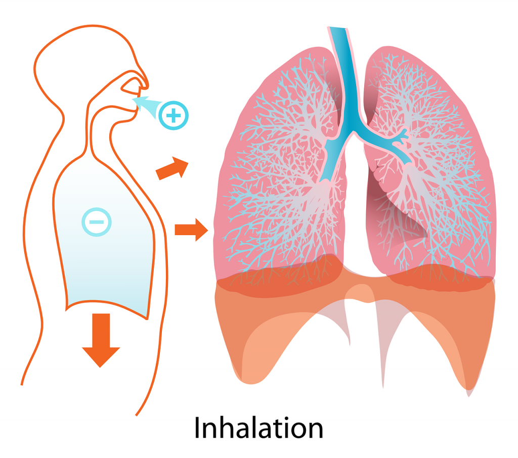Espirometria - Inhalación - IMObariatrica